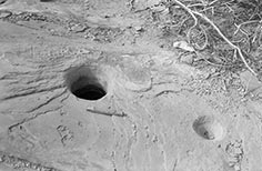 Two holes in a flat rock on ground