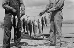 Two people whose heads you can't see stand holding string of fish on a rope.