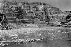 Mountain rises straight up in background and a body of water at the bottom with a large amount of floating driftwood.