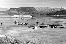 Cars parked side-by-side on the shoreline overlooking a body of water, mountains in distance, boats scattered on water.