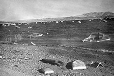 Damaged boats scattered across large body of water with mountains in the distance and boat debris across the shoreline.  