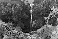 Waterfall trickles down between a textured rocky mountain surrounded by desert plants at the bottom. 