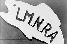 Sign shaped like a fish lettering that reads L M N R A