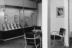 A glass display case filled with sloth-related written words, objects, and framed pictures next to a table with three chairs facing one another and a ceiling fan hung above. 