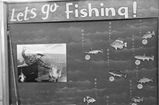 Display case decorated with different cut-out pictures of fish and a picture of a man catching a fish with a fishing pole and plant in the bottom corner.