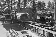 Two men operating a Sawmill as they cut some lumber surrounded by trees in the distance. 