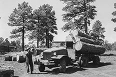 Man in overalls standing in front of a parked truck fully loaded with logs, trees in the background.