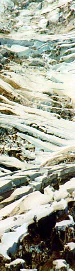 Mt. Rainier Centennial Web Site