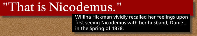Text banner: "That is Nicodemus." Willina Hickman  vividly recalled her feelings upon first seeing Nicodemus with her husband, Daniel, in the Spring of 1878.