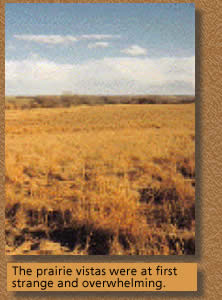 A prairie vista, showing the blue sky stretching on forever above the expanse of prairie grasses. These prairie vistas were at first strange and overwhelming.