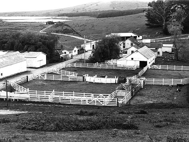 A hilly ranch has multiple buildings and fenced in cattle with hills and the Estuaro in the background. 