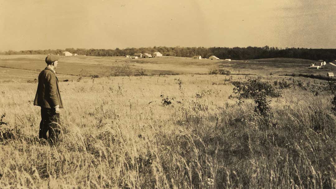 Boy alone in a field of wheat.