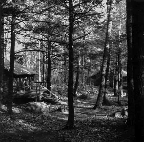 A view of camp through the trees.