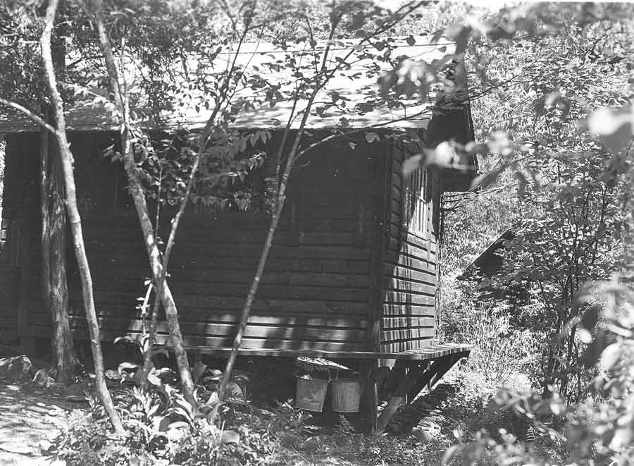 A small wooden office structure surrounded by trees.