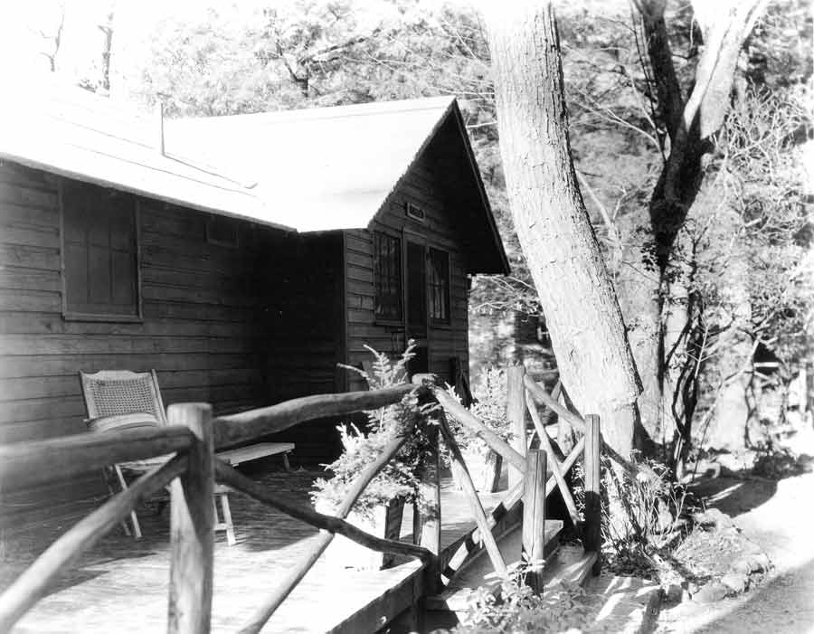 A small guest cabin with a porch surrounded by trees.