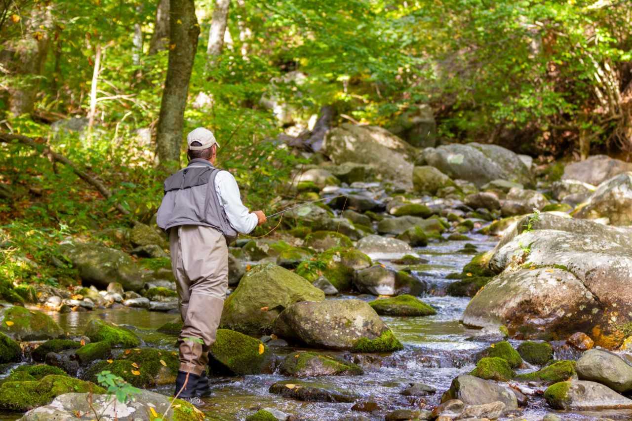 Man fly fishing in Rapidan River.