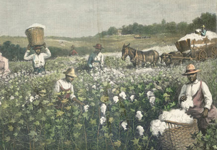 Cotton Pickers