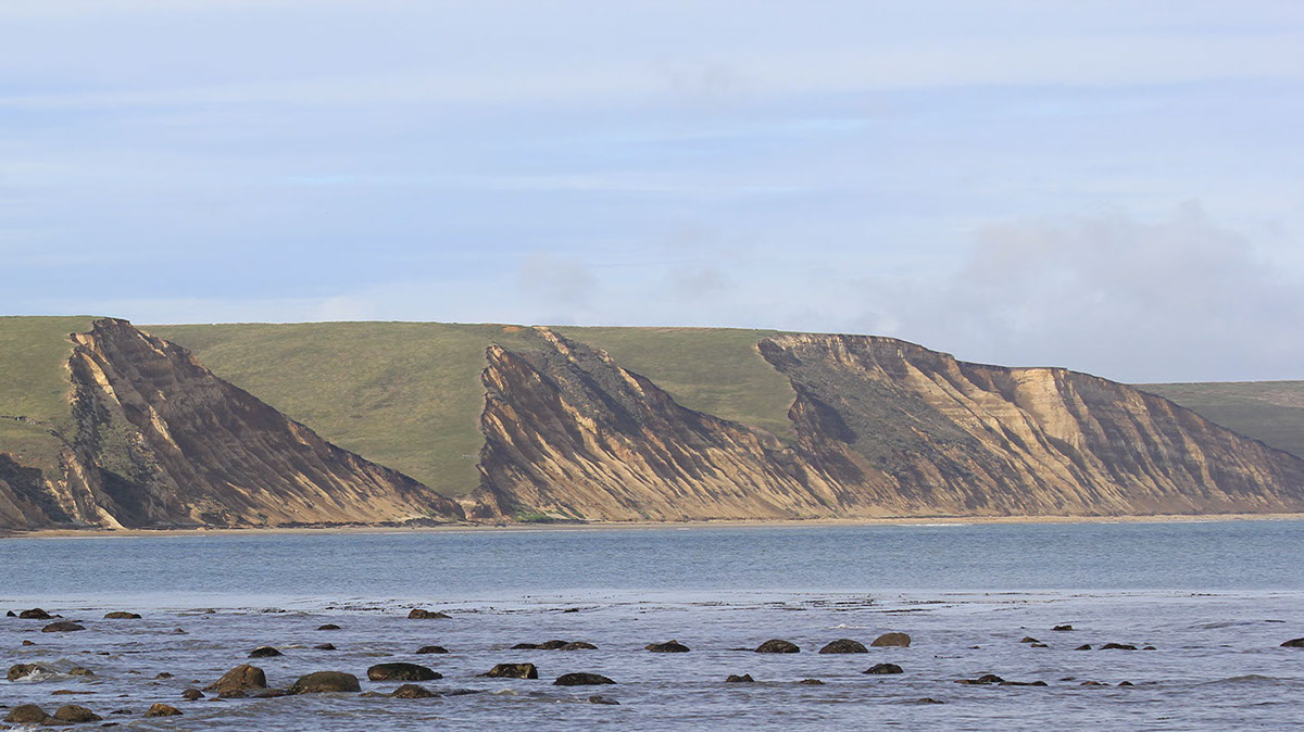 group of pelicans flying over the sea