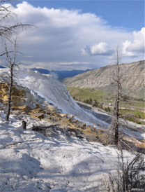 A view of Canary Spring during summer