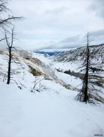 A view of Canary Spring during winter, covered in snow