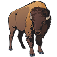 Illustration of a bison.