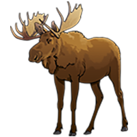 Illustration of a moose.