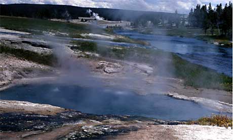 water from thermal features runs off into the Firehole River