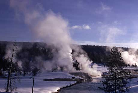 A thermal area along side a stream creates critical winter survival habitat for wildlife.