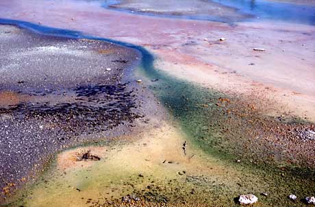 Reds, blues and greens color the runoff channel of a hot spring in Norris Geyser Basin