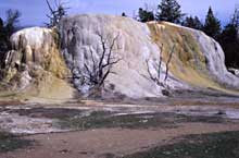 Microbes are partly responsible for the variety of colors of Orange Spring Mound