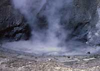 A muddy hydrothermal pool contains Sulfolobus acidocaldarius