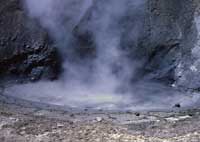 A muddy hydrothermal pool contains Sulfolobus acidocaldarius