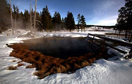 A ring of vegetation surrounds a hot spring during a snow covered winter