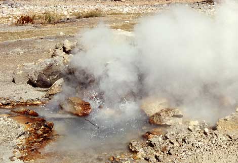 a small hotspring bubbles and steams