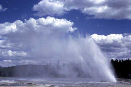 Daisy Geyser erupts at an angle