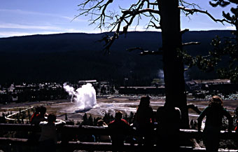 People watch Old Faithful erupt from atop Geyser Hill