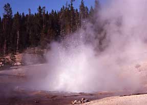 Echinus Geyser steams and boils