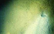 A small hydrothermal vent on the bottom of the lake