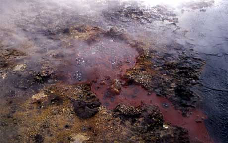 Water, steam and gases cook the rhyolitic rock and make it susceptible to erosion