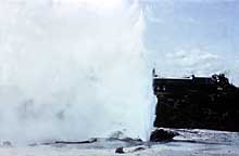 Pohutu erupts on the North Island