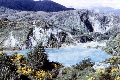 Waimangu in New Zealand