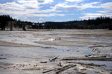 Flat and desolate, 100 Spring Plain lies off the trail system