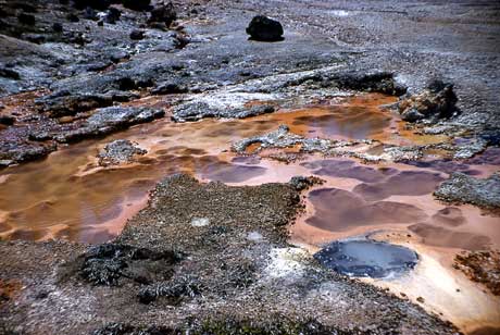 pools stained red form inshallow depressions at Heart Lake