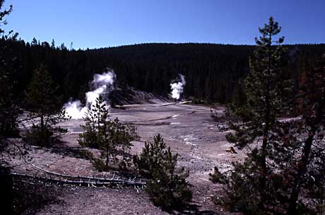 Steam rises from hot springs in the Back Basin