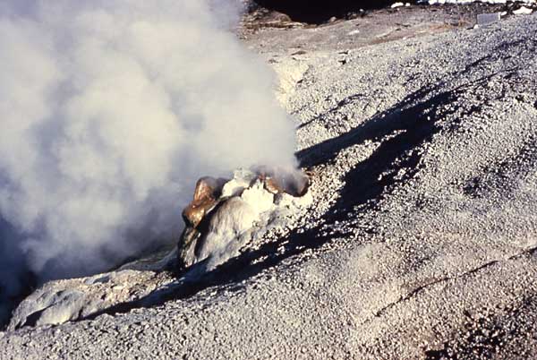 Black Growler, a fumarole, issues a cloud of steam from its vent