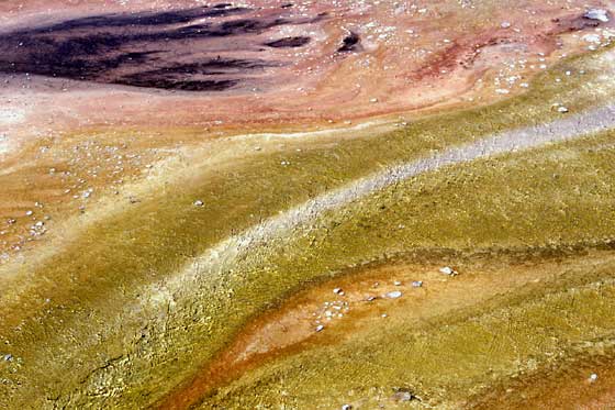 Bands of color in a run-off channel often represent thermophiles that thrive at different temperatures.