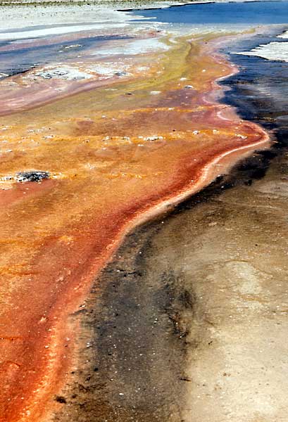 Bands of color in a run-off channel often represent thermophiles that thrive at different temperatures.