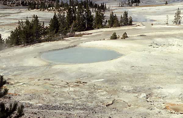 Congress Pool lies still and milky in Porcelain Basin.