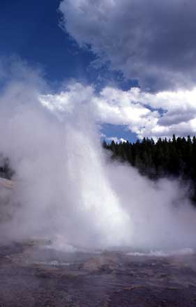 Echinus Geyser erupts