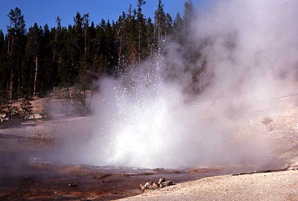 Echinus Geyser erupts
